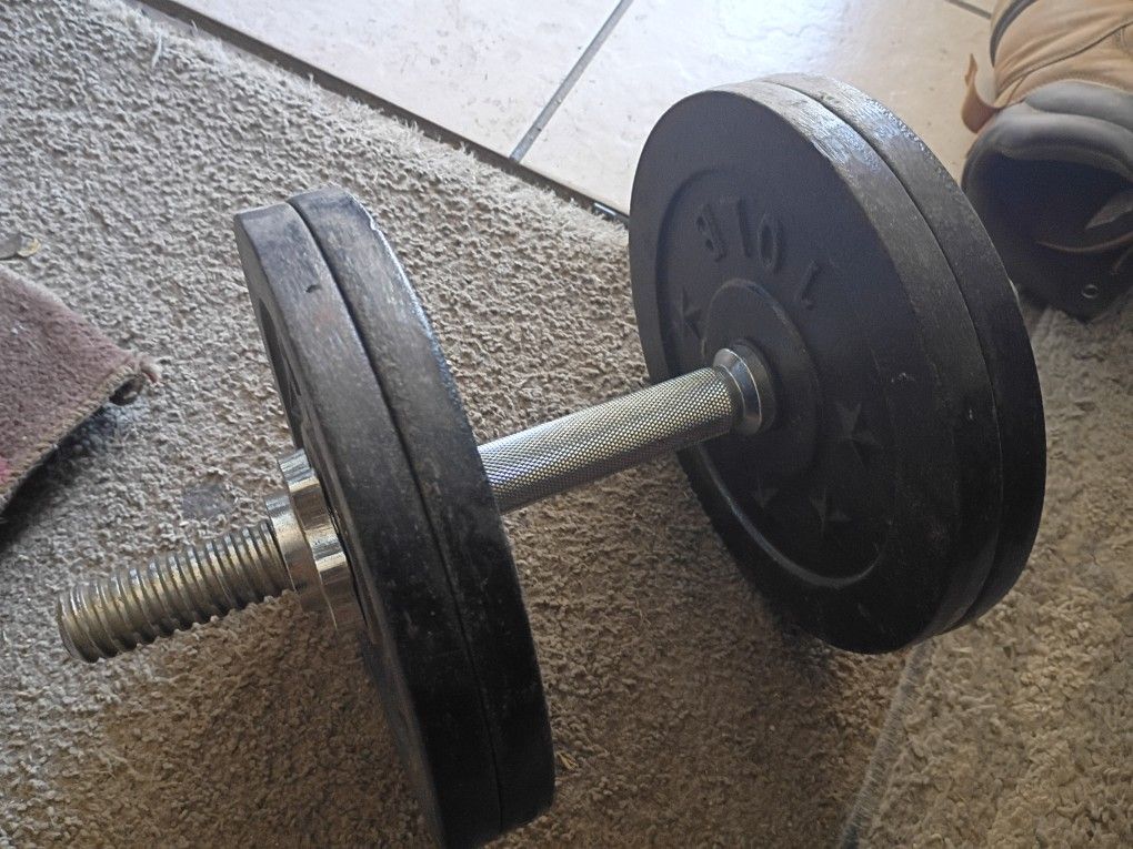 Curl Bar 40lb
