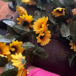 Sunflower Garland And Sunflower Plant 
