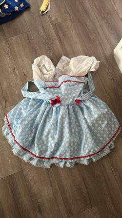 Dorothy costume