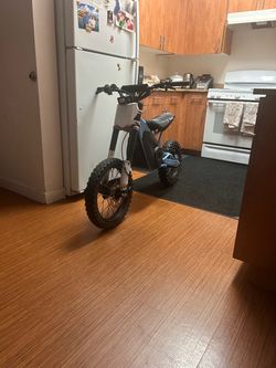E bike