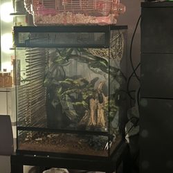 Reptile Tank And Accessories