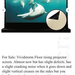 vividstorm floor rising projector screen 