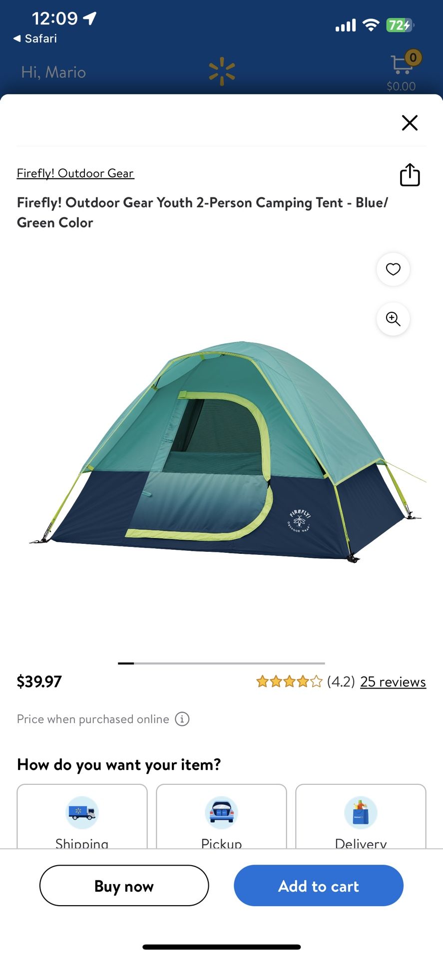 Youth Camping Tent Outdoor Camping Gear 2 Person Tent
