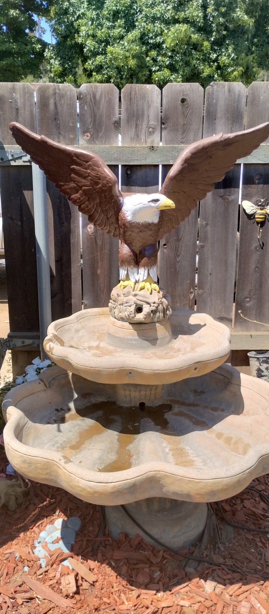 Eagle Fountain 