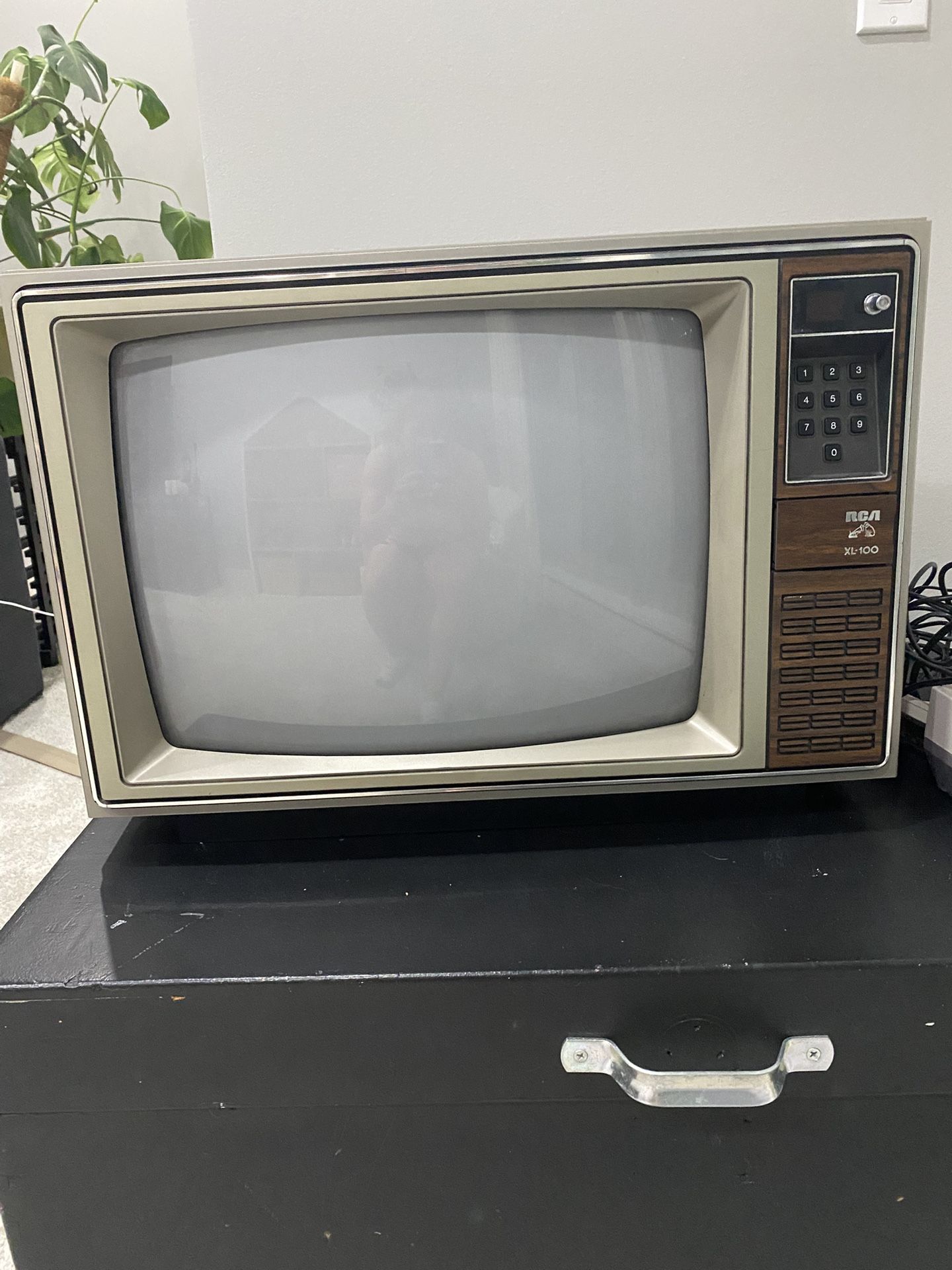 Vintage TV