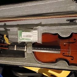 Violin