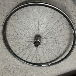 Campagnolo 700 C Rear Wheel