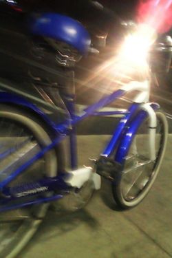 Schwinn legacy