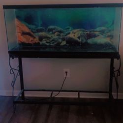 55GAL AQUARIUM 