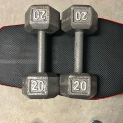 20lb Dumbbells 