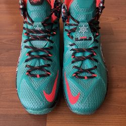 Nike Lebron 12 “Akron Birch” Sz 9.5