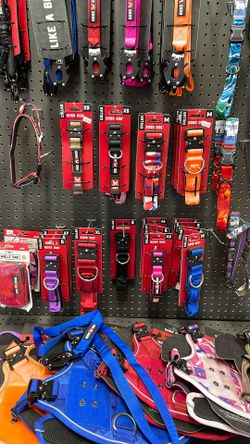 Collars & Leashes