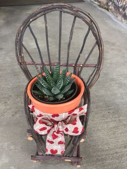 Small wood chair with succulent plant with Valentines decoration