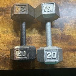 20lb Dumbbell Set