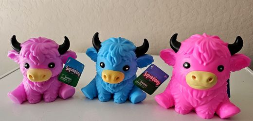 Colored highland cows