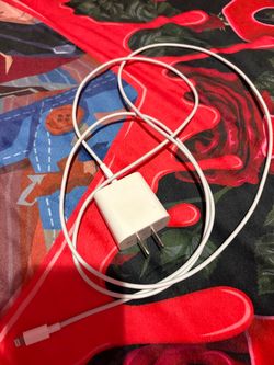 Apple 16 USB Wall Charger with Lightning Cable
