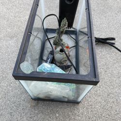 2 Gallon Fish Tank