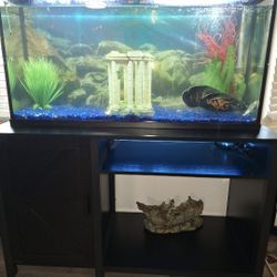 Aquarium & Stand