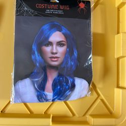 Blue Wig