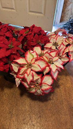 6 Fake Poinsettias/ 4 Red… 2 White