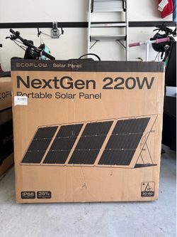 Ecoflow Solar Panel x2