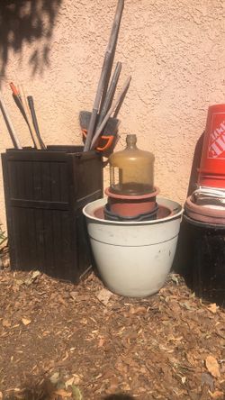 Shopper for All!!!!! Each 36 Plants, For$20.00