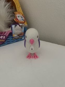 Little live pets bird