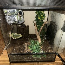 Reptile tank 