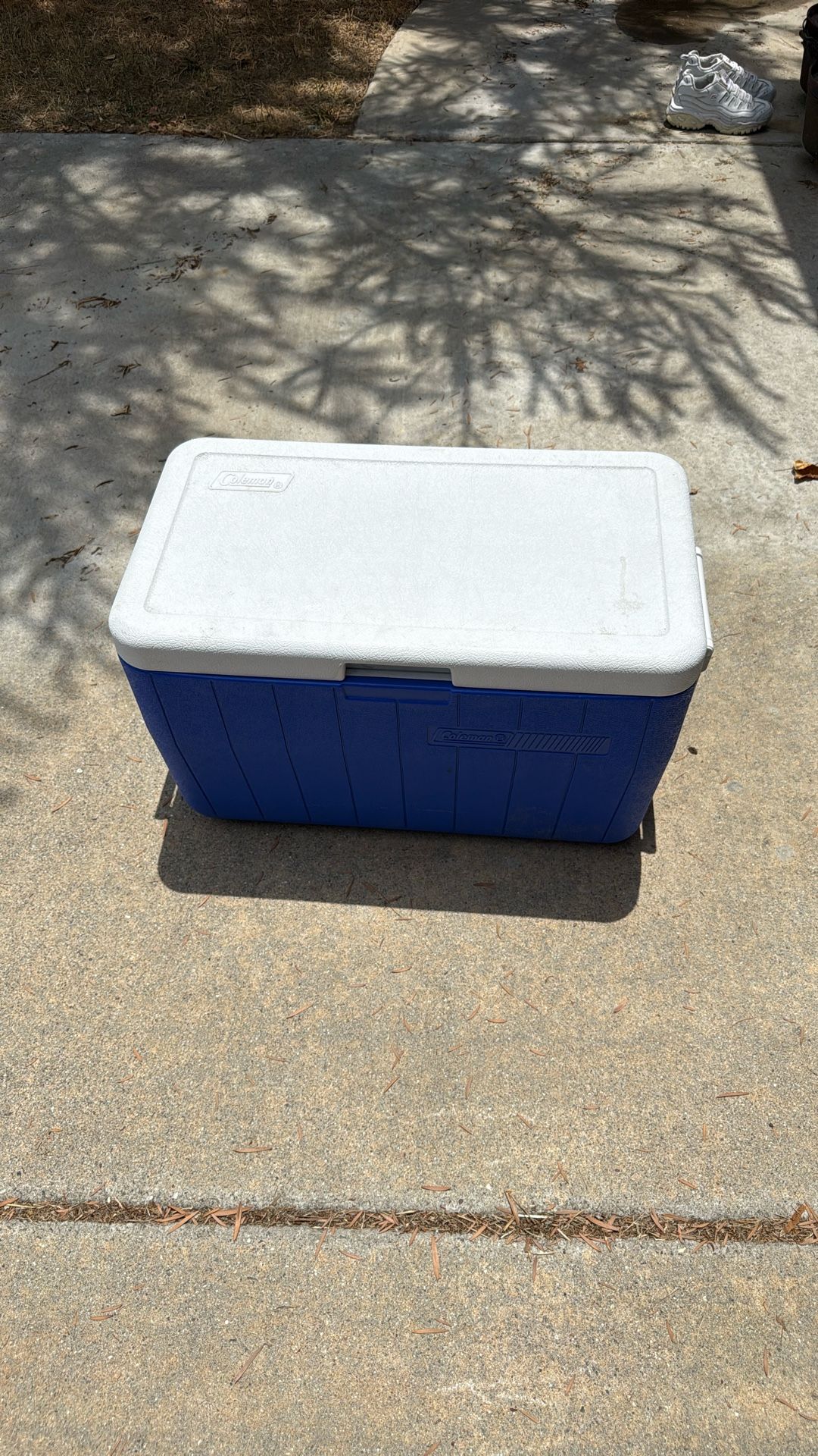 Coleman Cooler