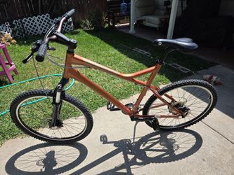 Giant Bicycle