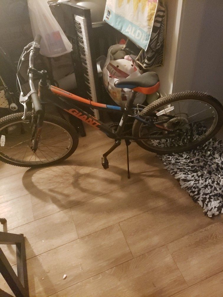 Giant Teenager Mountain Bike