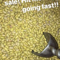 Organic beans From Sinaloa