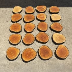 Bradford Pear Wood Live Edge Slice Cookie