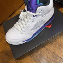 Air Jordan Retro 5 Grapes 