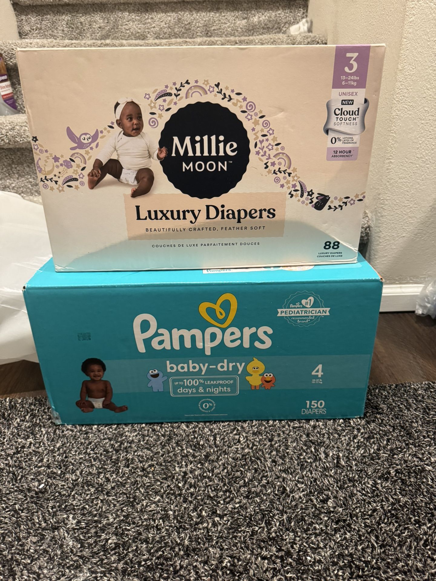 Millie Moons And Pampers
