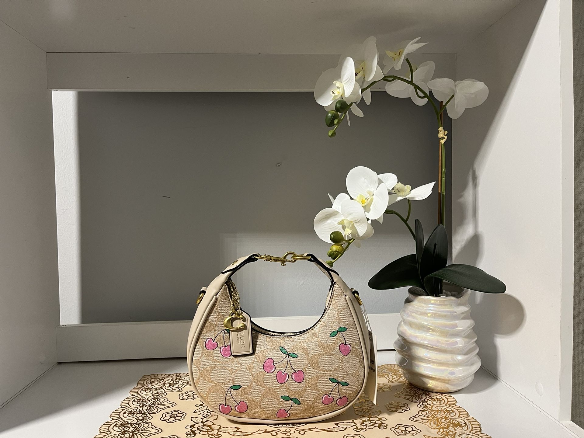 Coach Bag For Sale