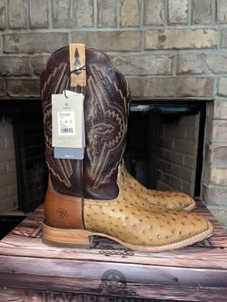 Ariat Ostrich Size 13