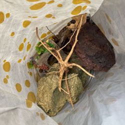 Fish Tank Rocks And Accessories