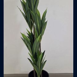 *** REDUCED *** 60" Faux Dracaena in a 15" (Tall) Black Resin Planter @ Lasting Creations