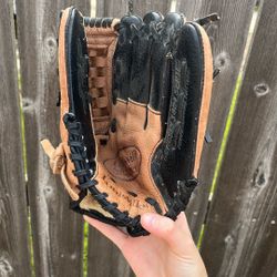 Baseball Mitten 