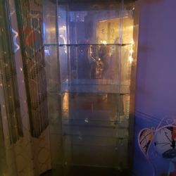 Free Glass Case With Shelves 
