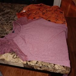 2 Blouses 