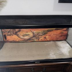 Lizard Tank