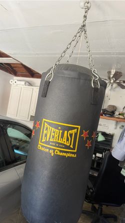 Everlast Punching Bag