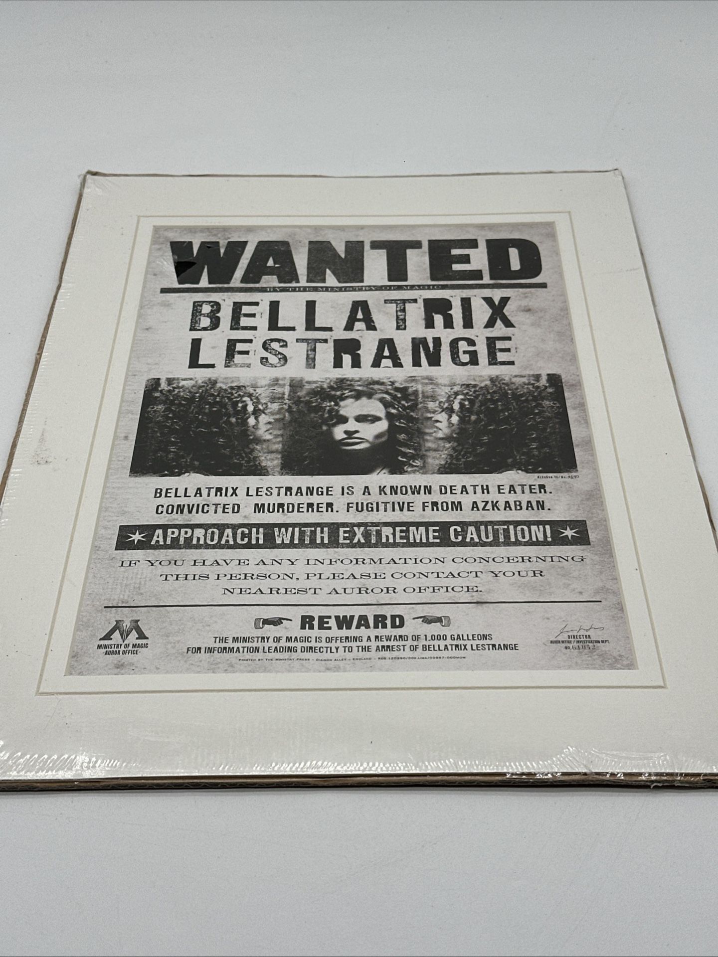 The Wizarding World: Harry Potter - Bellatrix Wanted Poster 10X14 Poster