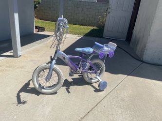 Frozen Bike $90 OBO