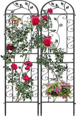 2 Pack Garden Trellises