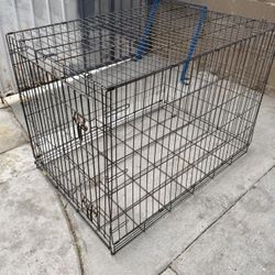 Dog Kennel 