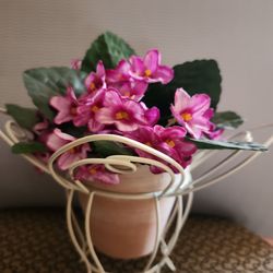 Vivid Forever Flower with pot