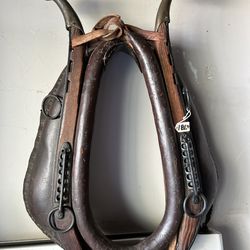 Antique horse collar with brass knobs
